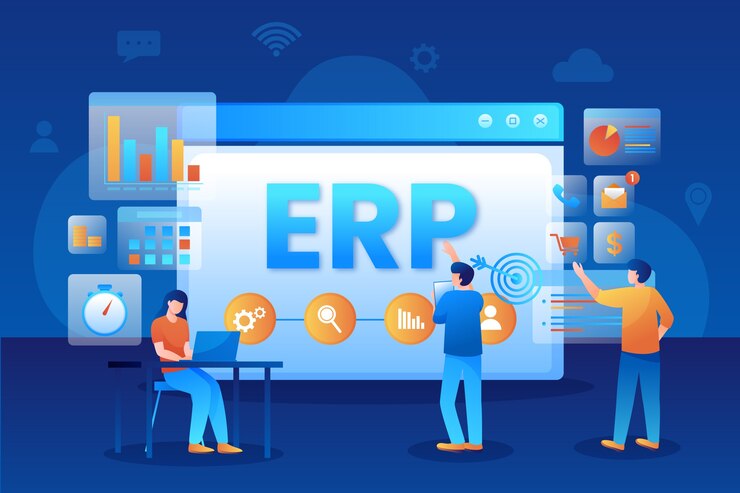 ERP Software Management